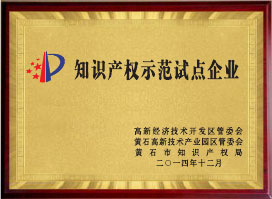 知識產(chǎn)權(quán)示范試點企業(yè)